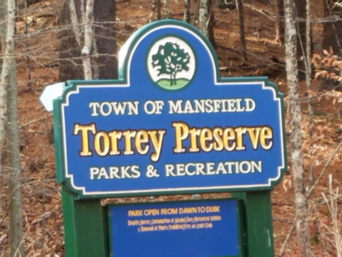 Torrey Preserves