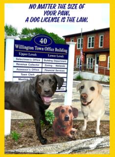 Official dogs of Willington