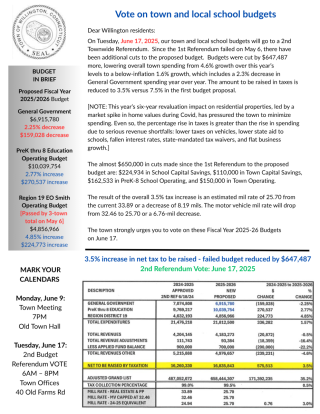 Guide to budget for June referendum