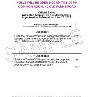 sample of the ballot for the June 17th referendum