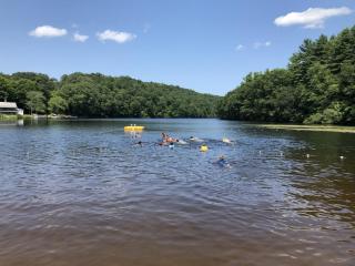 Hall's Pond