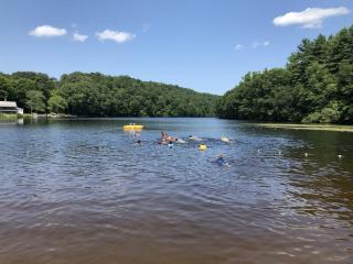 Hall's Pond 