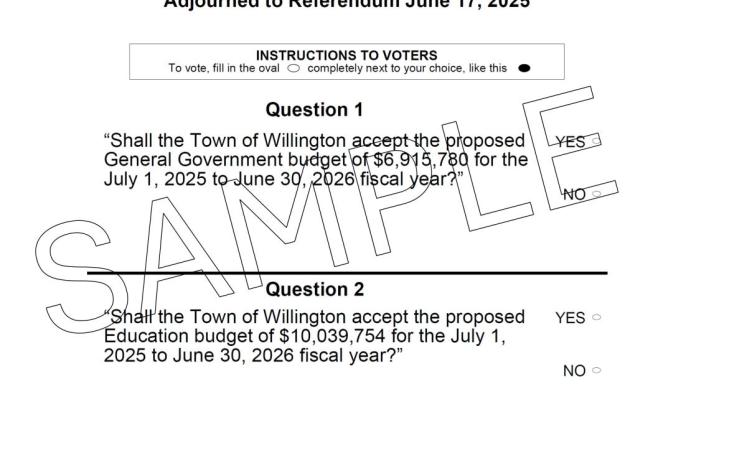 sample of the ballot for the June 17th referendum